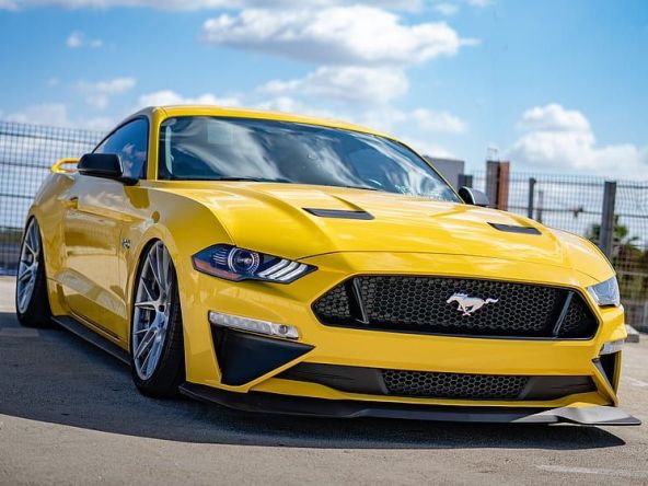 Mustang 4 (2).jpg