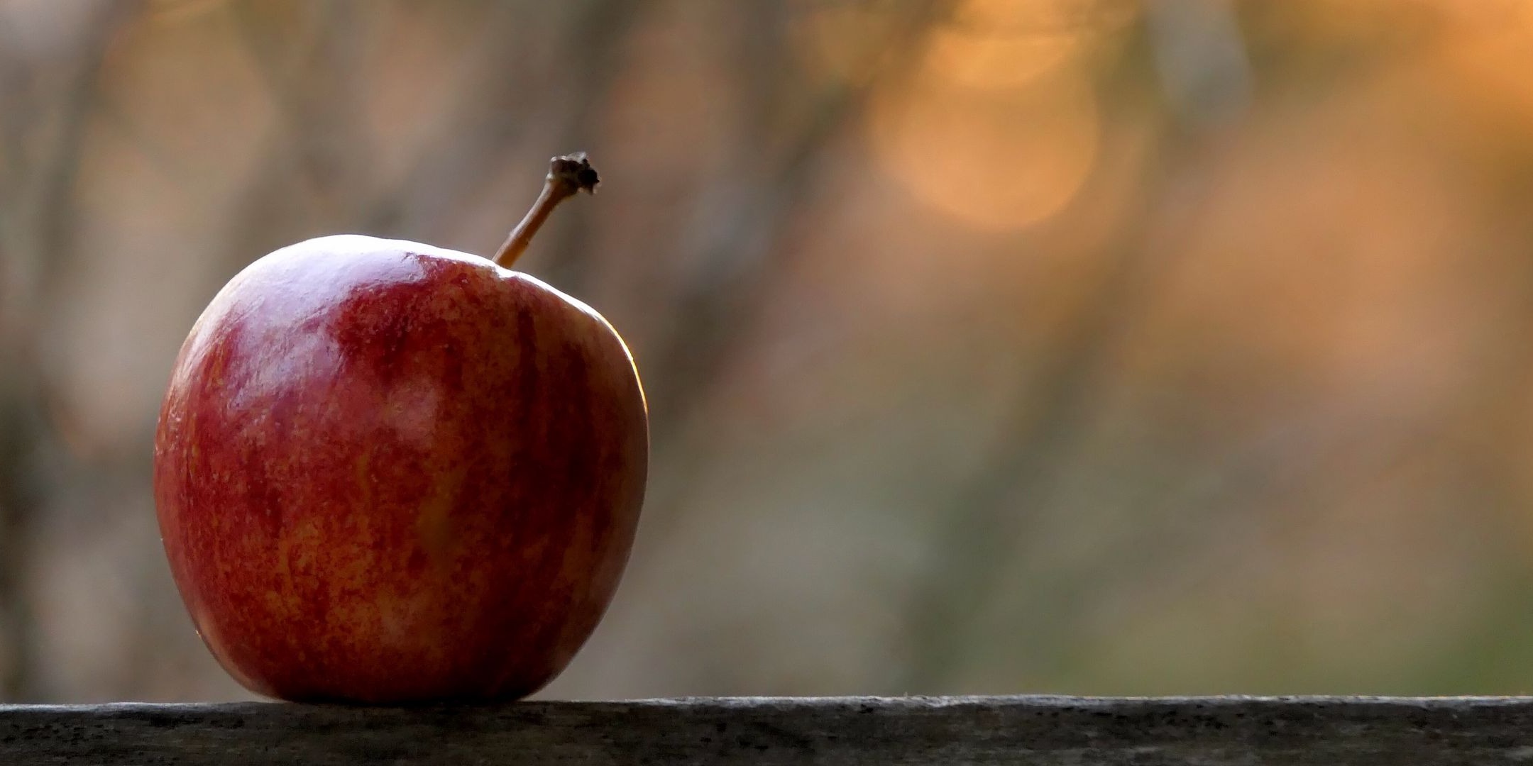 Construction Equipment Rental